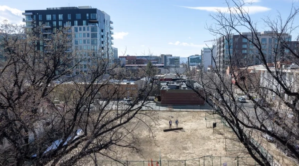 Cherry Creek thriving image